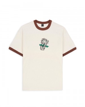 Beige Brain Dead X Green Day Flower Pot Ringer Tee T-Shirt | AU 9045612-FO