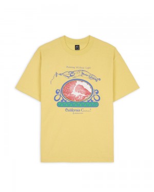 Lemon Brain Dead Calisthenics T-Shirt | AU 1506398-SH