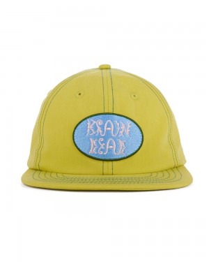 Mustard Brain Dead Bugs Lyfe 6 Panel Cap | AU 3784092-KD