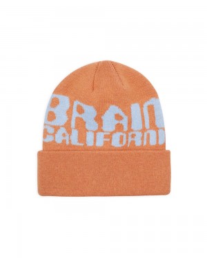 Orange Brain Dead Californian Design Beanie | AU 5082649-ZD