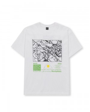 White Brain Dead Biorhythms T-Shirt | AU 1546087-LZ