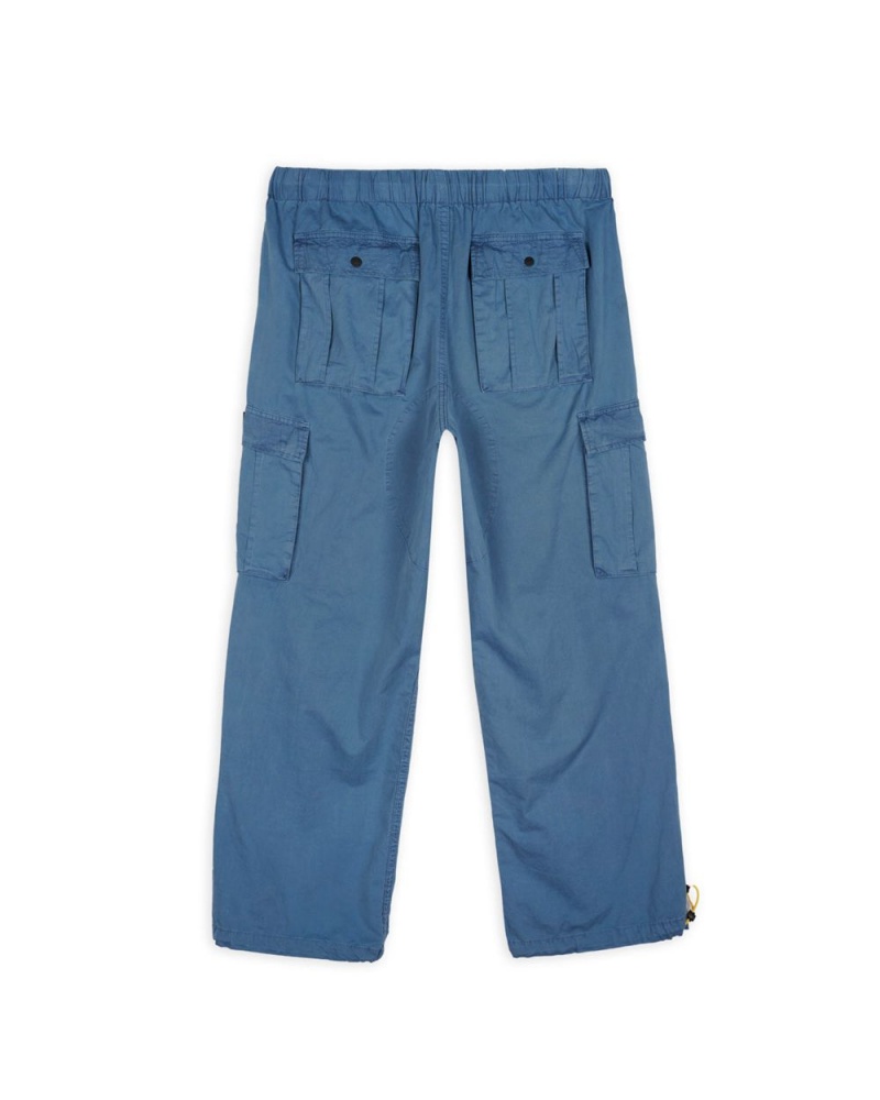 Blue Brain Dead Flight Pant | AU 5173864-MR