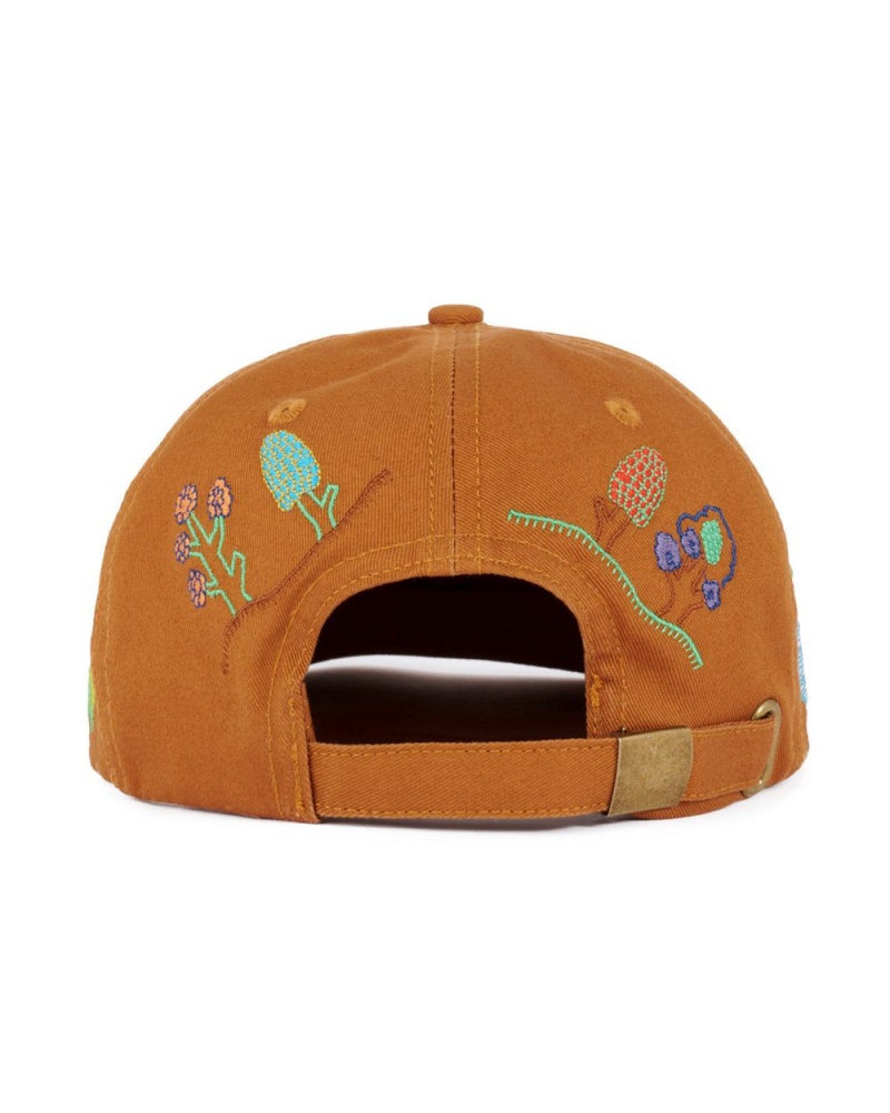 Brown Brain Dead River 6 Panel Cap | AU 5472869-WL