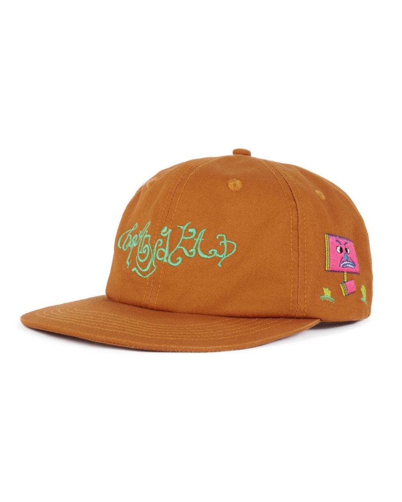 Brown Brain Dead River 6 Panel Cap | AU 5472869-WL