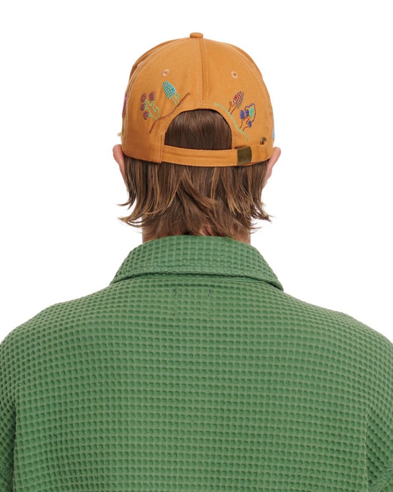 Brown Brain Dead River 6 Panel Cap | AU 5472869-WL