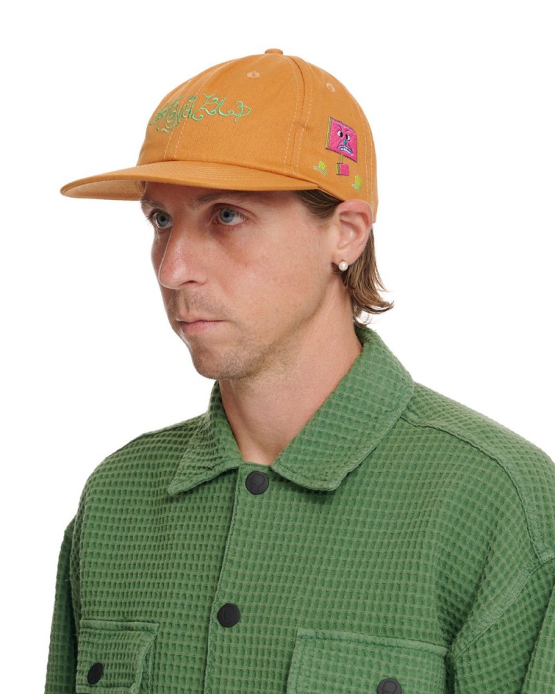 Brown Brain Dead River 6 Panel Cap | AU 5472869-WL