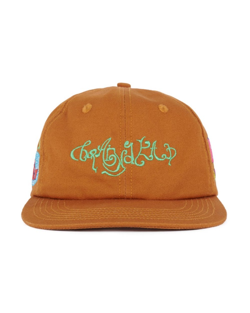 Brown Brain Dead River 6 Panel Cap | AU 5472869-WL