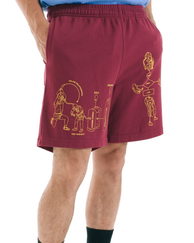 Burgundy Brain Dead Tutorials Heavyweight Jersey Shorts | AU 7029841-EK