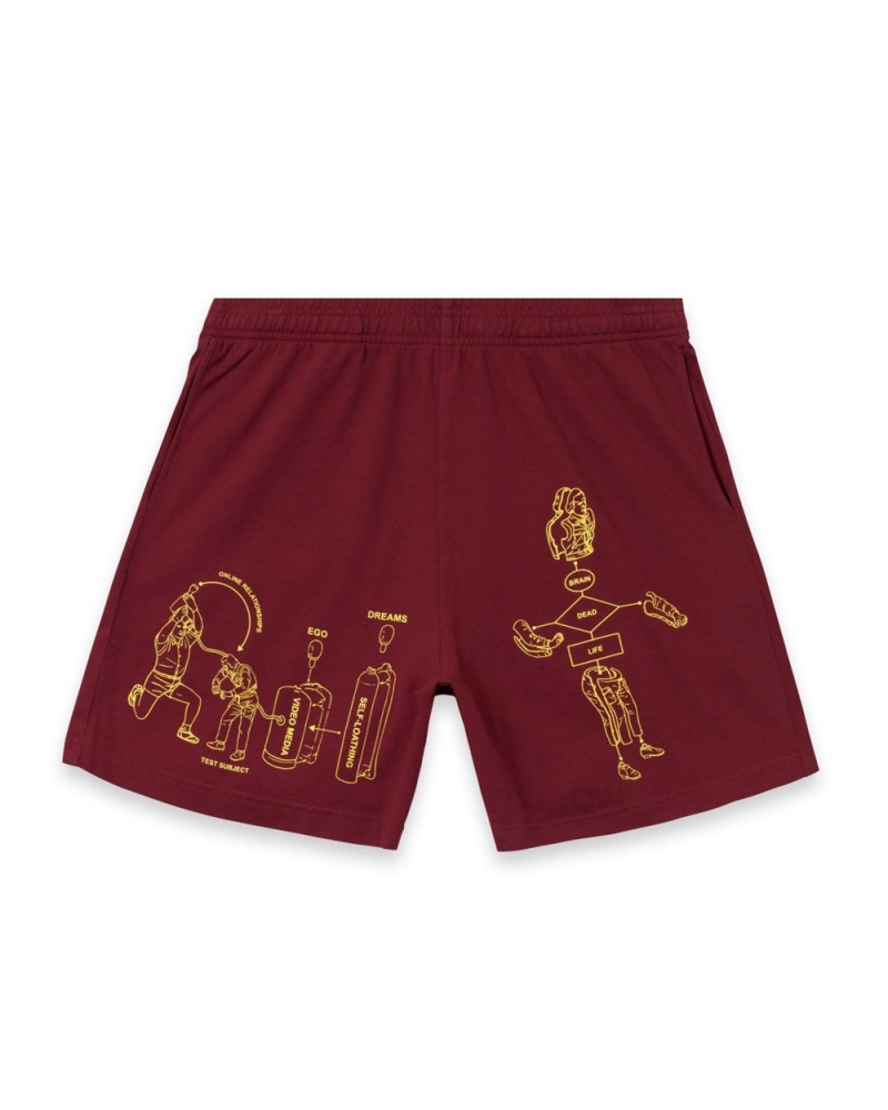 Burgundy Brain Dead Tutorials Heavyweight Jersey Shorts | AU 7029841-EK