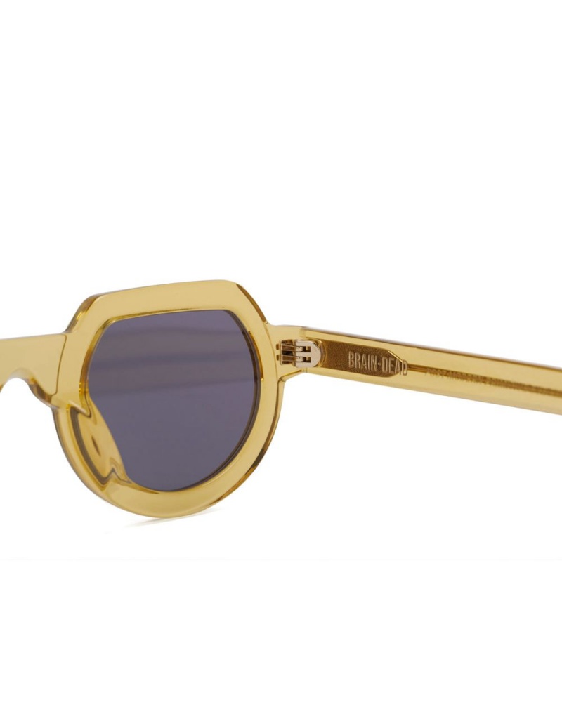 Gold Brain Dead Tani Post Modern Primitive Eye Protection Sunglasses | AU 7968250-VB