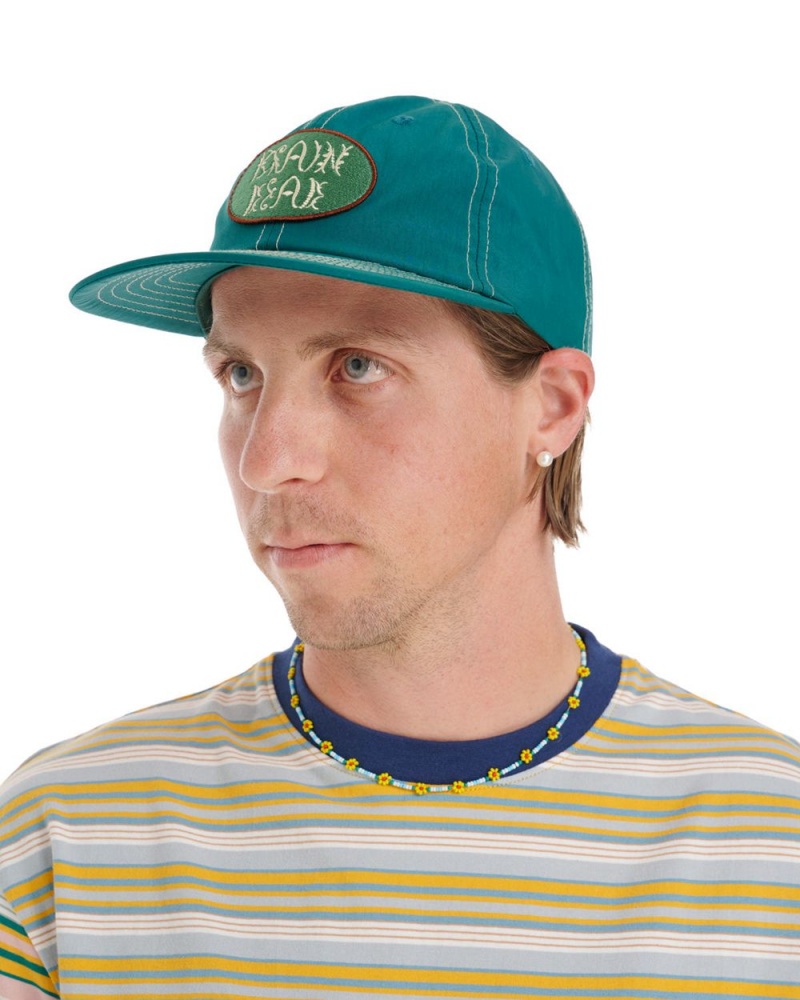 Turquoise Brain Dead Bugs Lyfe 6 Panel Cap | AU 4589276-ZC