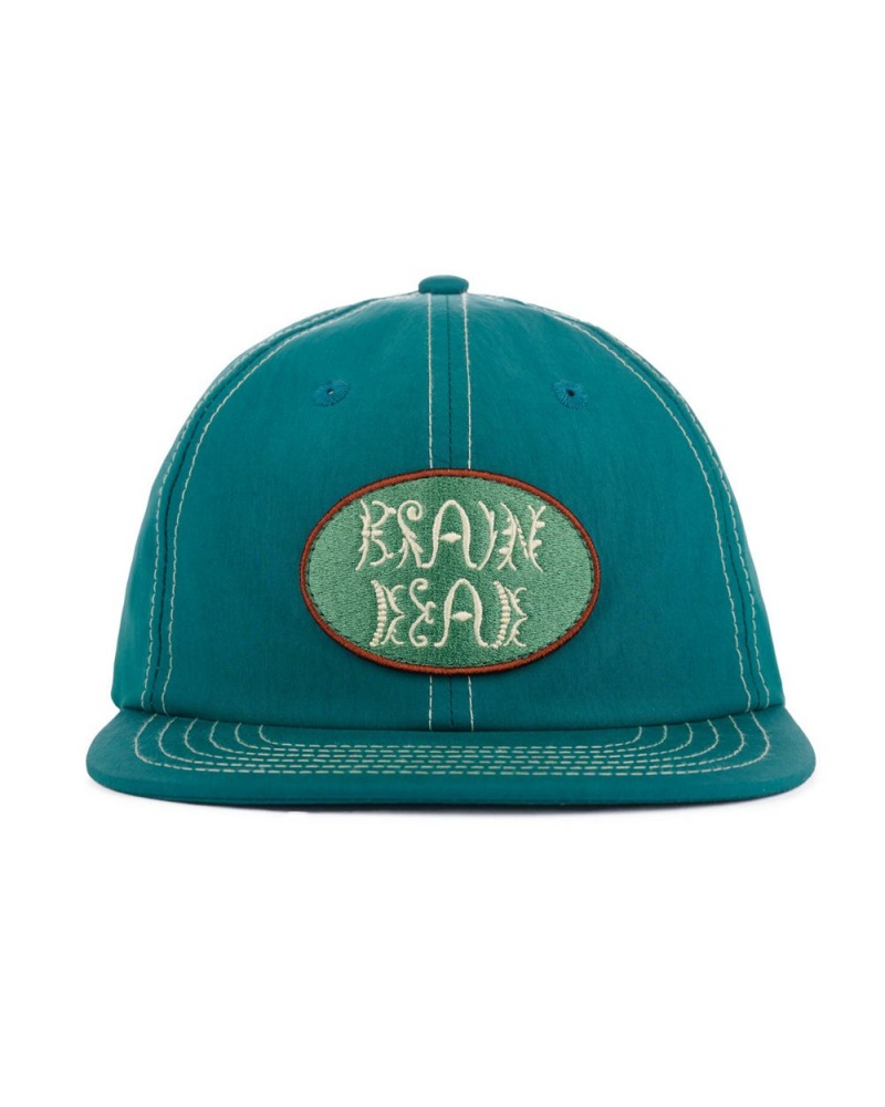 Turquoise Brain Dead Bugs Lyfe 6 Panel Cap | AU 4589276-ZC